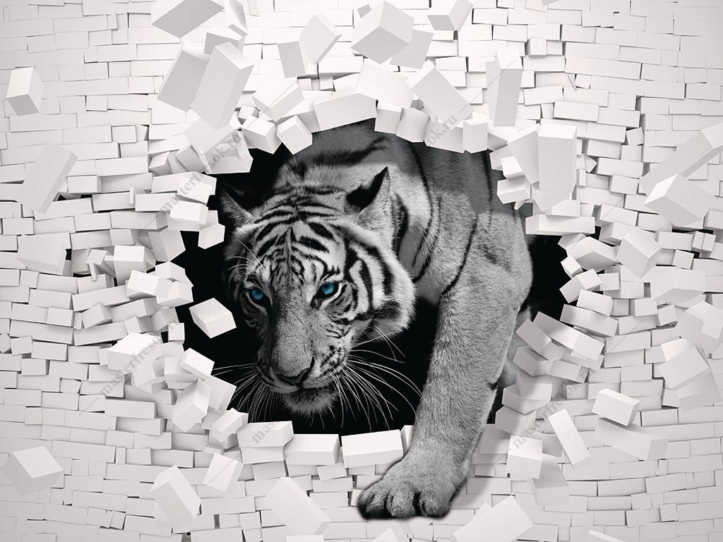 Фотообои Тигр черно-белый 3D