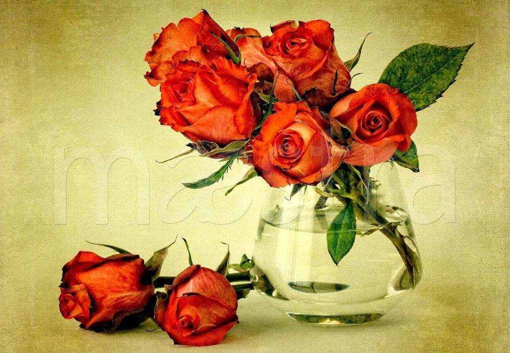 Фотообои Красные розы в вазе