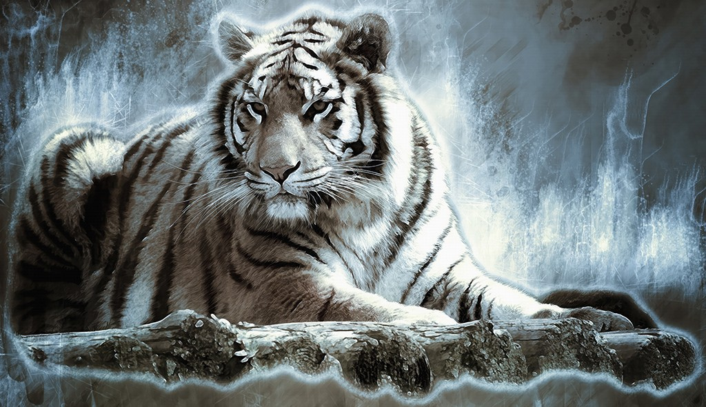 Фотообои Большой белый тигр