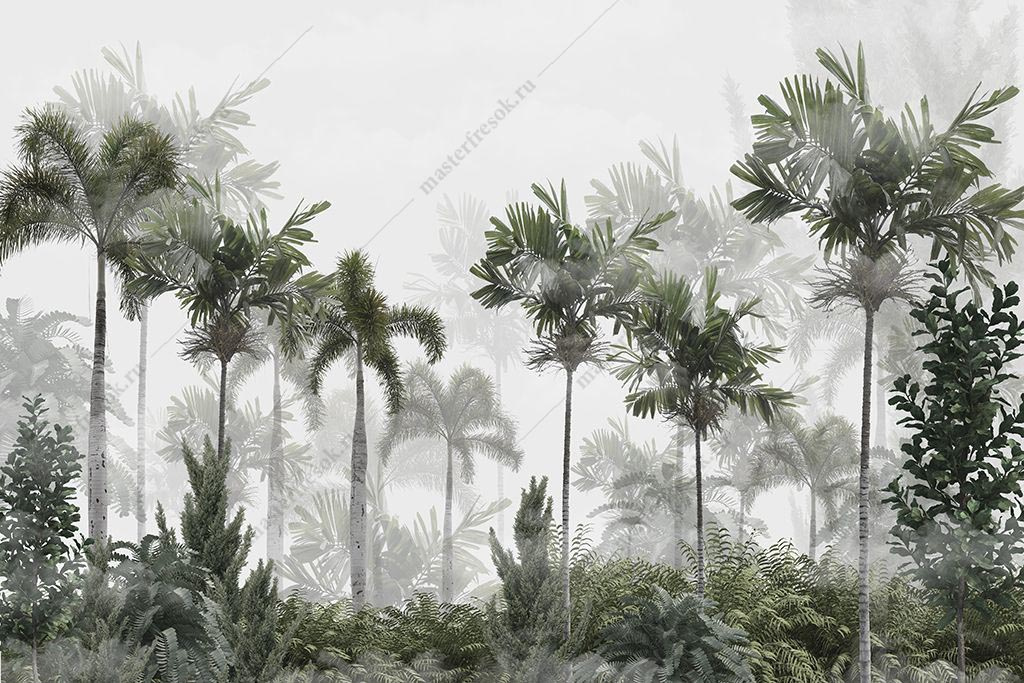 Фотообои Влажный тропический лес